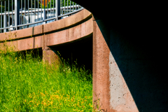Grassy_Underpass