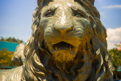 Lion_Statue